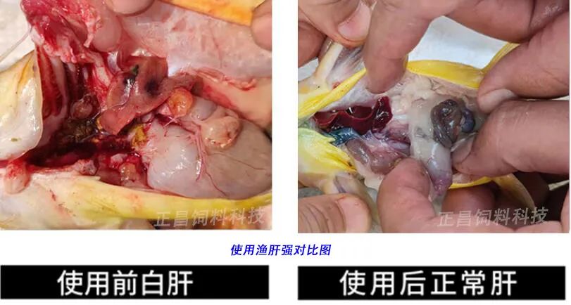 微信圖片_20220413082824.jpg 微信圖片_20220413082824.jpg